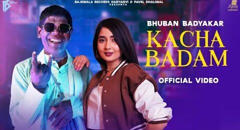 Kachha Badam Song Lyrics