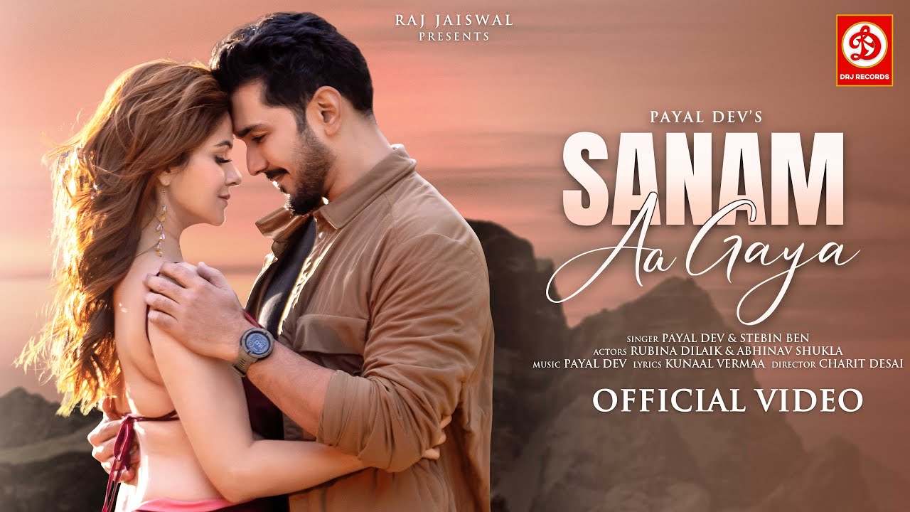 Sanam Aa Gaya Song Lyrics | Payal Dev x Stebin Ben