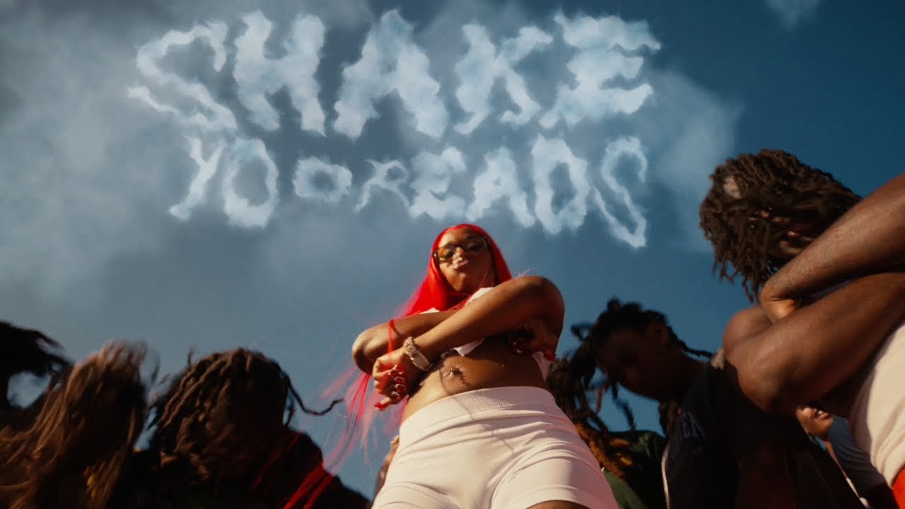 Shake Yo Dreads Song Lyrics | Sexyy Red