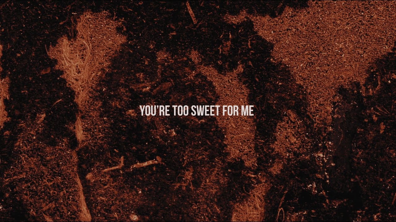 Too Sweet Song Lyrics | Hozier